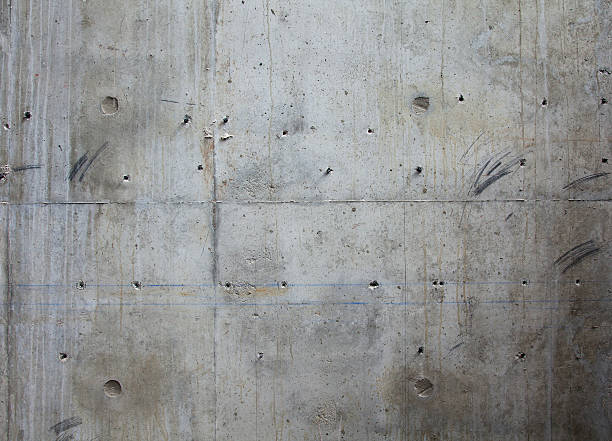Best Concrete Foundation Repair  in Palmyra, WI